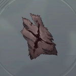 戦士の革地画像