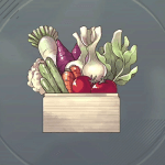 中級食材セット画像