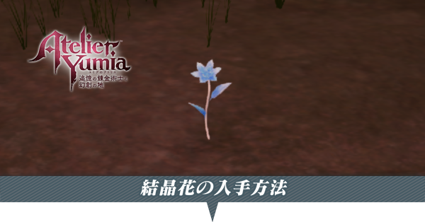 結晶花の入手方法