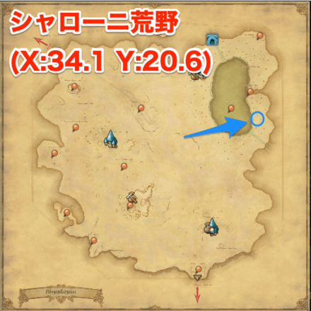 シャーローニ・コーヒーの画像