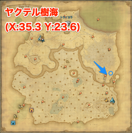 コーディア原木の画像