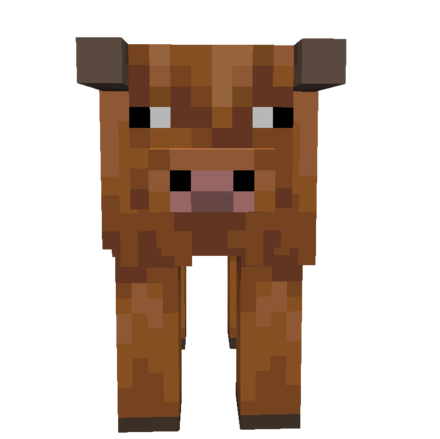 寒帯のウシ画像