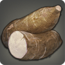 キャッサバの画像