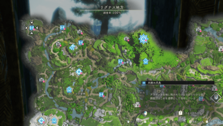 大樹の爪先画像