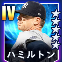 ハミルトン画像