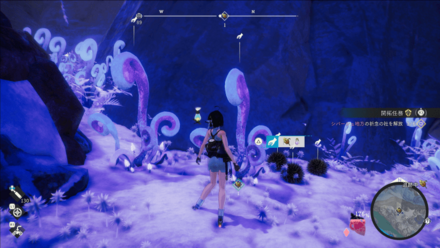 フュメパルファム現地