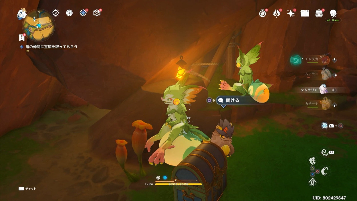 取ってきてもらう