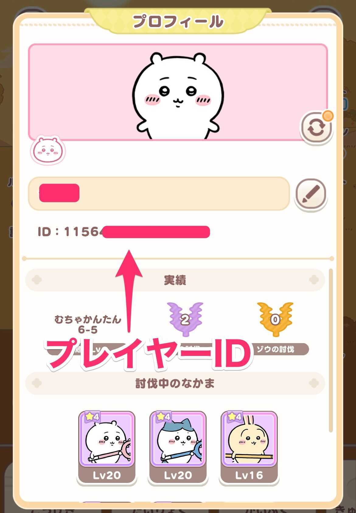 プレイヤーID