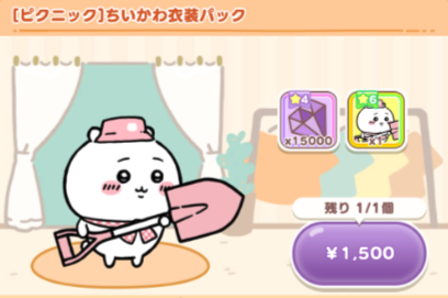 衣装だけパック