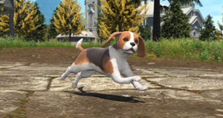 ロイヤルハウンド