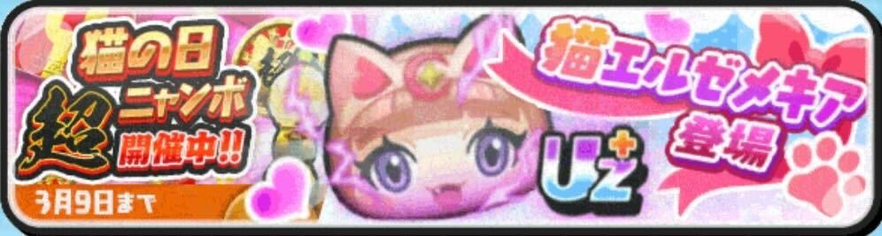 猫の日超ニャンボ