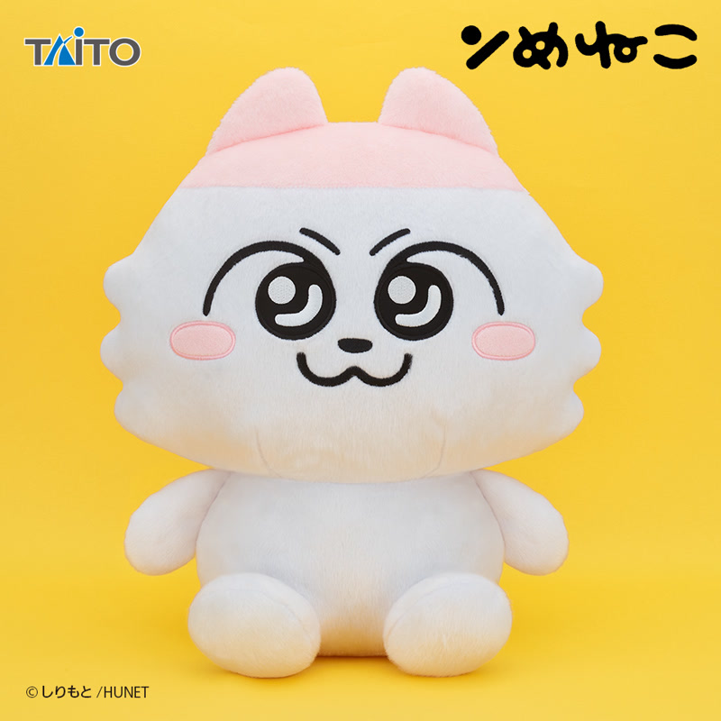 ニュースアイコン
