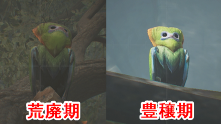 オメカシプテルス