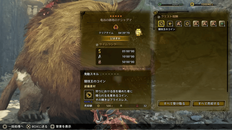 闘技王のコイン