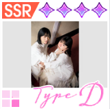 【スターターコレクション3】TypeDの画像