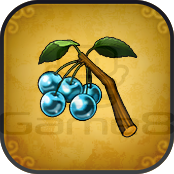 ゾンナルの樹の枝