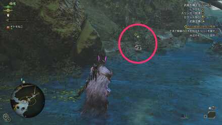 水辺のモリバー