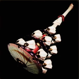 狐鈴コトノハクテⅠ