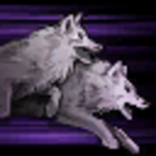 ワイルド チャージ