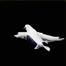 熾光ナル猫槍α画像