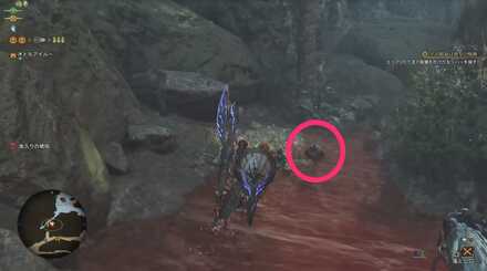 ガメネッコ最初