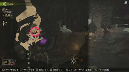 ガメネッコの場所マップ2