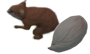 Adobe Express - file (9)