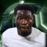 HPリュシアンアグメ(04/07)画像