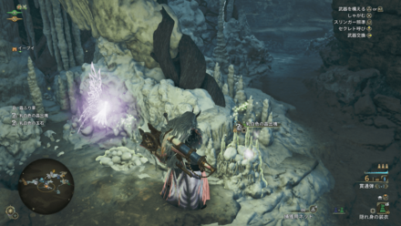 暦年の大リュウヌ玉現地画像