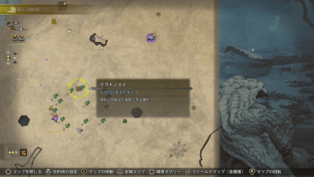 ムクロに生えたキノコ