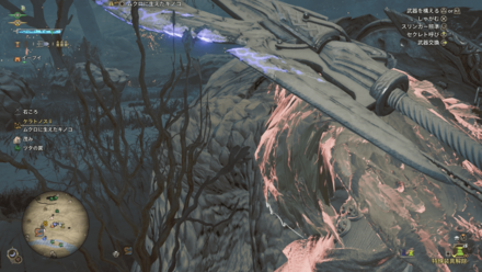 ムクロに生えたキノコ