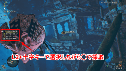 エリア12の水中