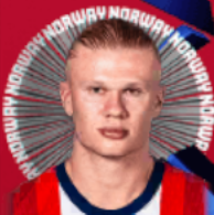 HPアーリングハーランド(04/10)画像