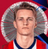 HPマルティン・ウーデゴーア(04/10)画像