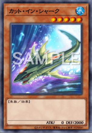 カット・イン・シャーク画像