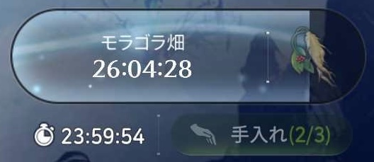 モラゴラ畑