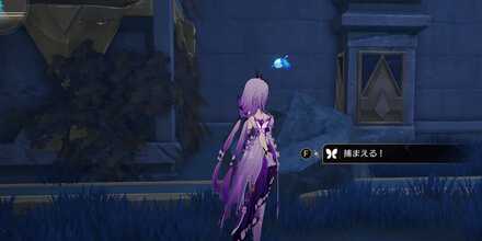 スティコシア⑤