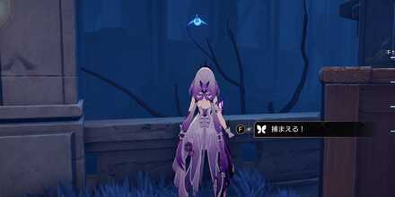 スティコシア⑦