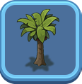 ヤシの木画像