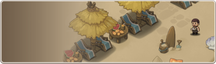 サンシャインビーチ画像