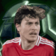 HPヴィクトルリンデレフ(04/14)画像