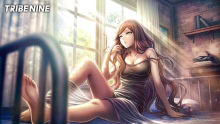 ヴァンキッシュの画像