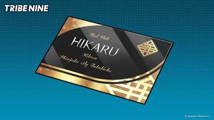 プロフェッショナルの画像