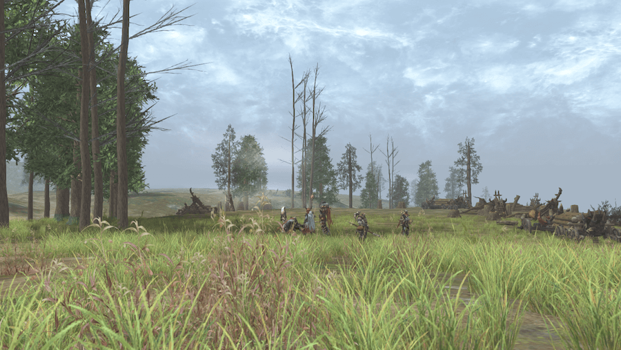 カーシャ オーク伐採地