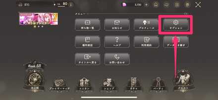 オプションを選択