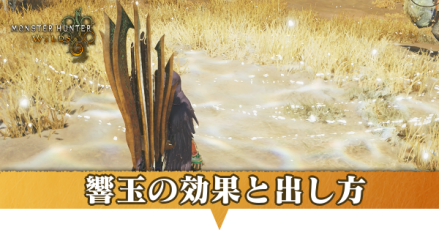 響玉の効果と出し方