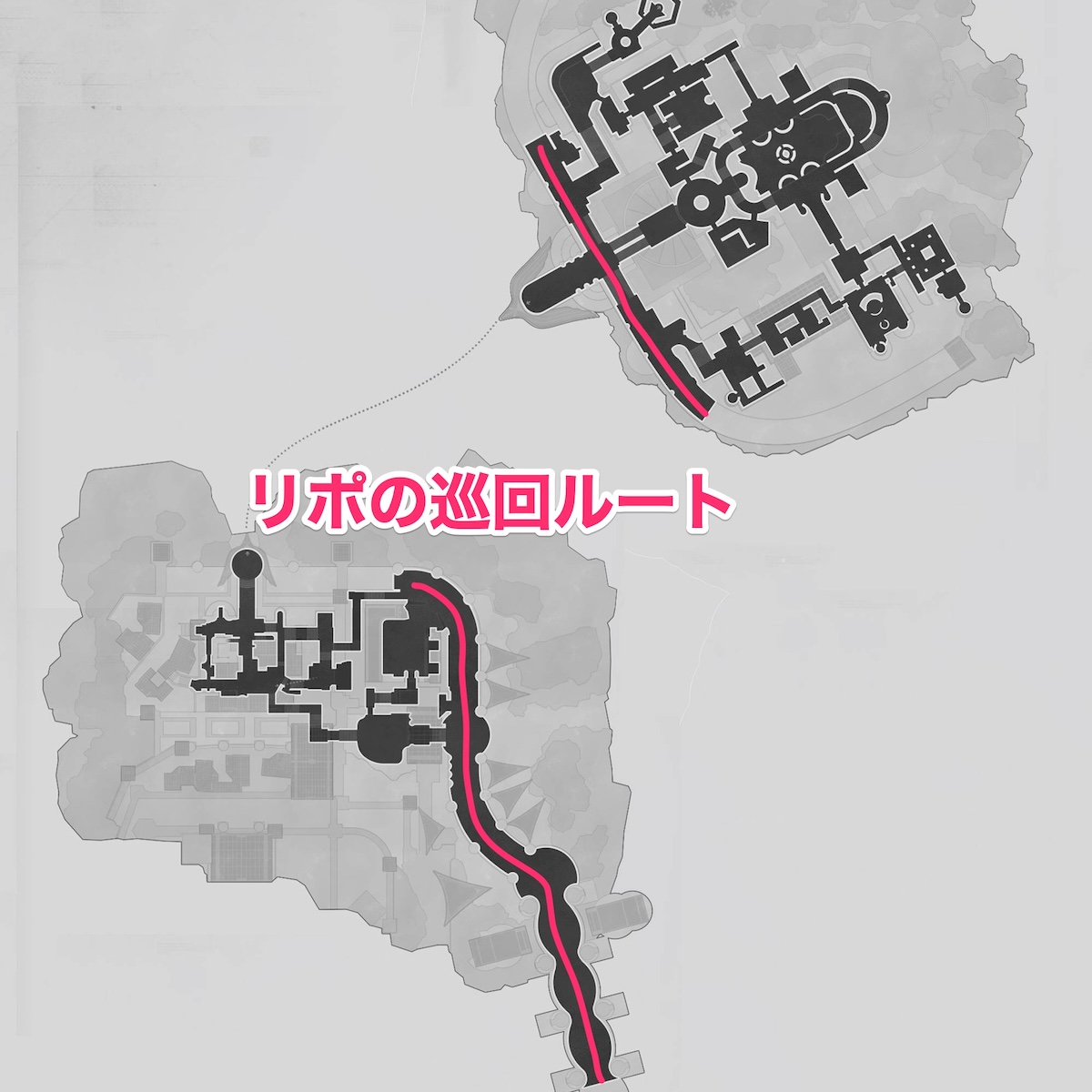 リポ巡回ルート