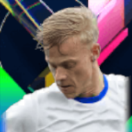 HPヤンポールファンヘッケ(04/17)画像