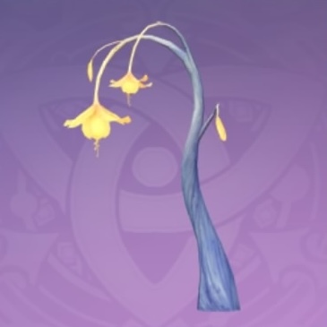 「天空に浮かぶ奇跡」の画像