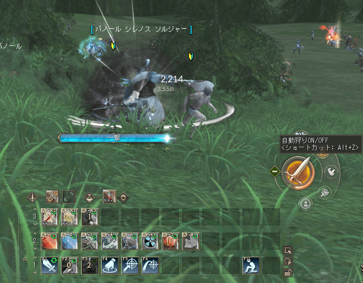 基本的には自動狩りで戦おう